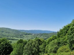 b_1024_768_0_00_images_2022_2023_SKKT_PTTK_rajd_czerwiec_352302132_949834789689734_6159945541476048555_n